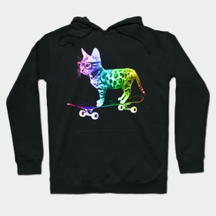 Rainbow Skateboard Cat Hoodie